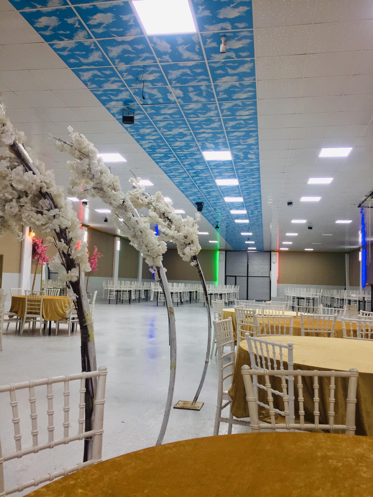 Green Park Düğün Ve Konferans Salonu — Merkez, Ağrı kır düğünü mekanı görsel 1