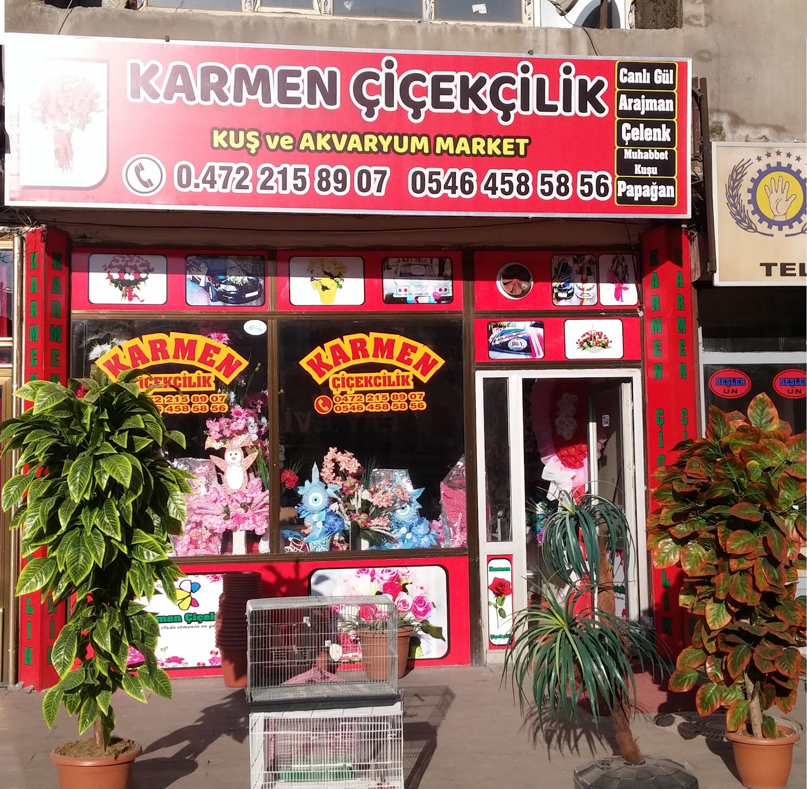 Karmen Cicekcilik kır düğünü mekanı — Merkez