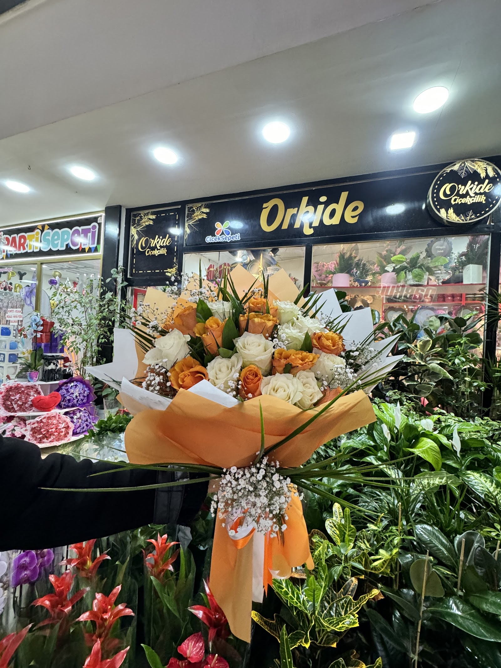Orkide Çiçekçilik