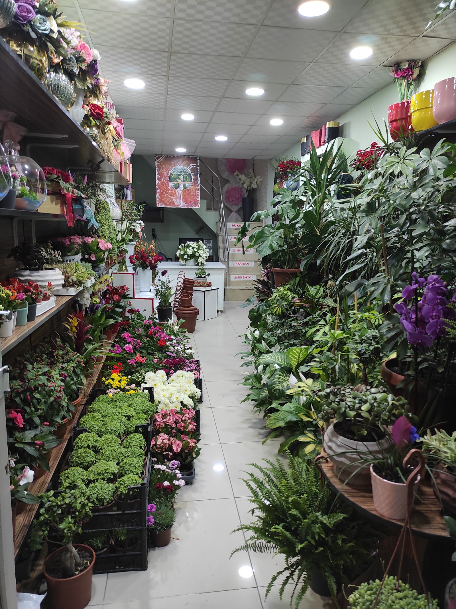 the love garden flowers