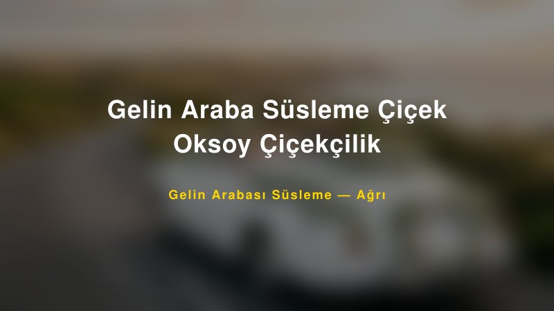 Gelin Araba Süsleme Çiçek Oksoy Çiçekçilik Gelin Arabası Süsleme Fiyatları — 1
