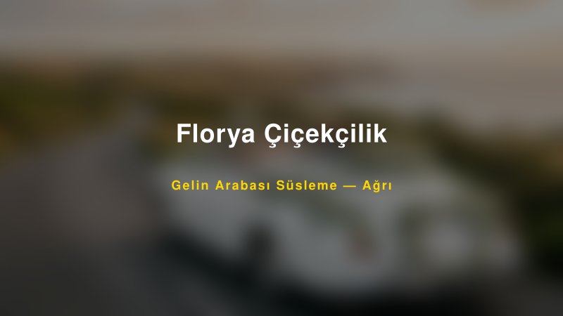 Florya Çiçekçilik ile Trend Gelin Arabası Yazıları ve Konseptleri