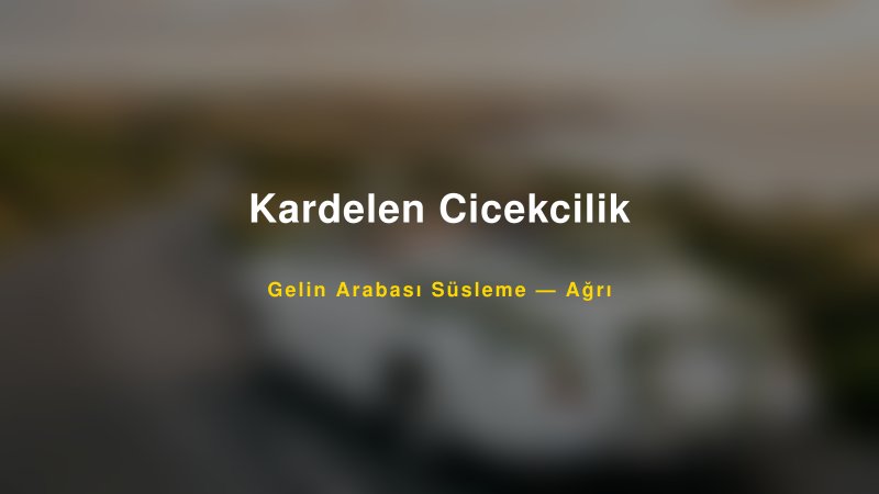 Kardelen Cicekcilik ile Trend Gelin Arabası Yazıları ve Konseptleri